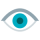 icons8-vision-100